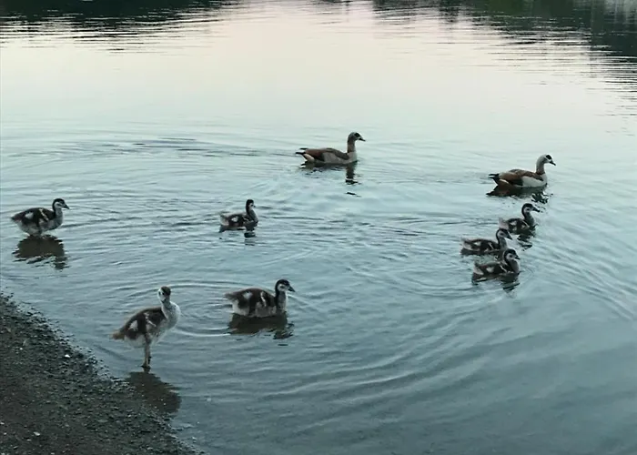 Apartamento Talblick *